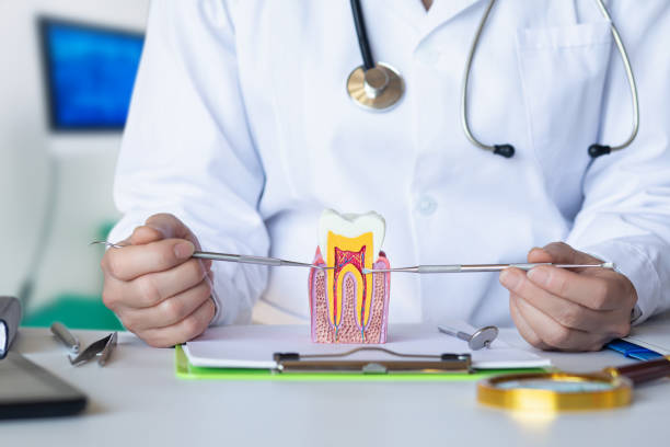 Best Urgent Care for Lost Fillings or Crowns in Clarksville, TN